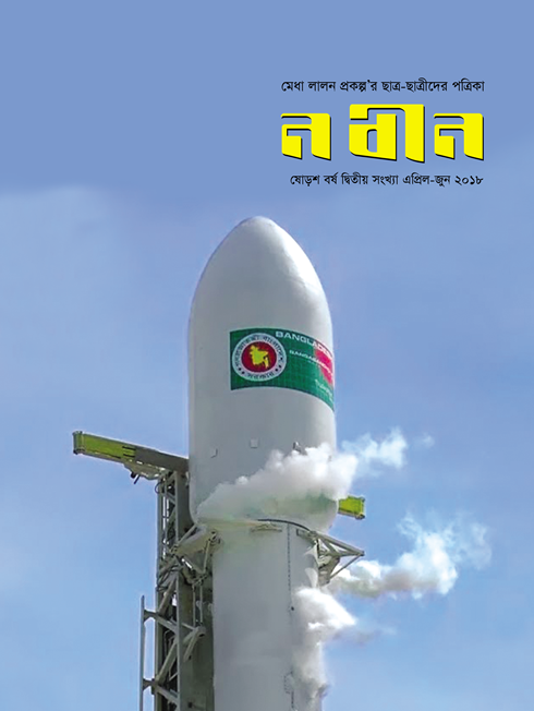 Publication Image